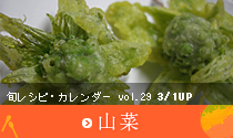Vol.29 山菜