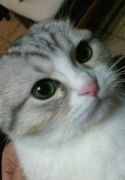 maru.jpg