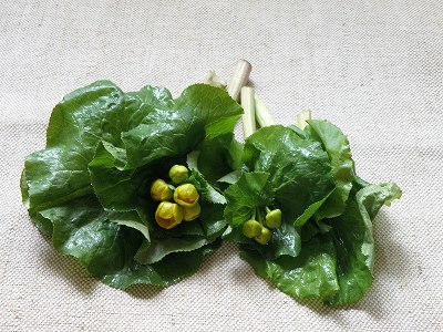 Amazon | 国産 山菜ミックス味付き 250g 山菜 山人参 「ヒュウガ