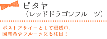 ピタヤ（レッドドラゴンフルーツ）ポストアサイーとして浸透中。国産希少フルーツにも注目！