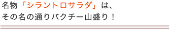 名物「シラントロサラダ」は、その名の通りパクチー山盛り！