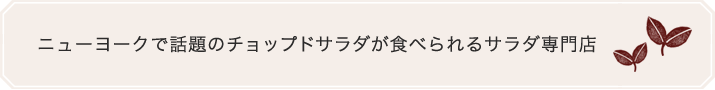 ニューヨークで話題のチョップドサラダが食べられるサラダ専門店