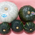 北海道産のおいしいカボチャ！無農薬 十勝のかぼちゃ3種食べ比べセット
