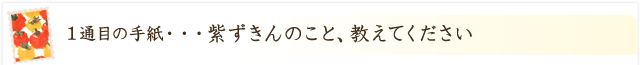 紫ずきんのこと、教えてください