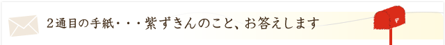 紫ずきんのこと、お答えします