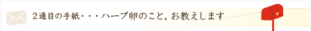 ハーブ卵のこと、お教えします