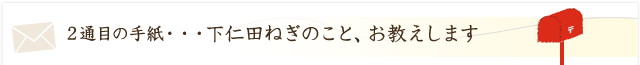 下仁田ねぎのこと、お教えします