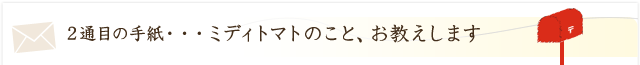 ミディトマトのこと、お教えします