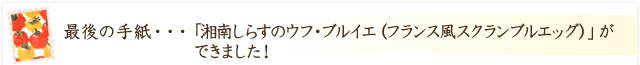 「湘南しらすのウフ・ブルイエ（フランス風スクランブルエッグ）」ができました！