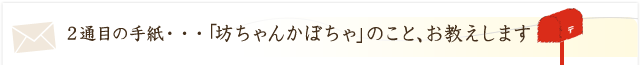 2通目の手紙・・・「坊ちゃんかぼちゃ」のこと、お教えします