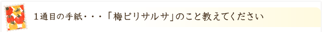 「梅ピリサルサ」のこと、教えてください！