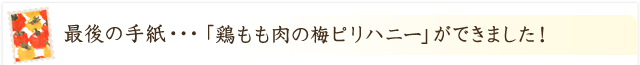 「鶏もも肉の梅ピリハニー」ができました！