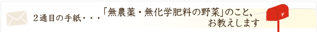 「無農薬・無化学肥料の野菜」のこと、お教えします。