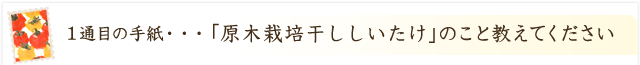 「原木栽培干ししいたけ」のこと教えてください！