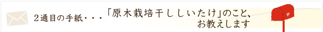 「原木栽培干ししいたけ」のこと、お教えします。