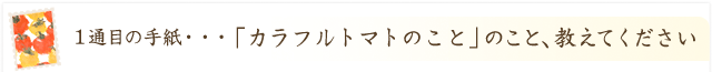 カラフルトマト、フルーツトマトのこと、教えてください！