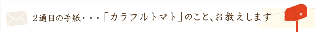 カラフルトマト、フルーツトマトのこと、お答えします！