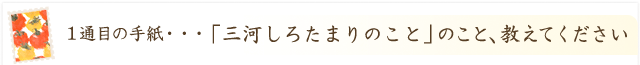 「三河しろたまり」のこと、教えてください！