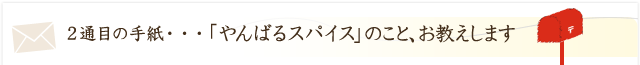 やんばるスパイスのこと、お答えします！