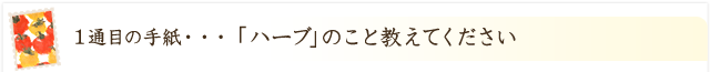 「ハーブ」のこと教えてください