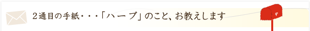 「ハーブ」のことお教えします