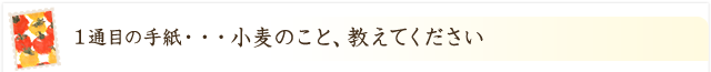 小麦のこと、教えてください