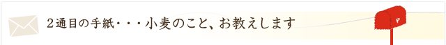 小麦のこと、お答えします