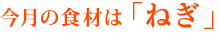 今月の食材は「ねぎ」