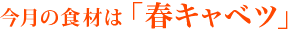 今月の食材は「春キャベツ」