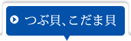 つぶ貝、こだま貝