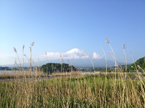 yamanakako_0527_1.JPG